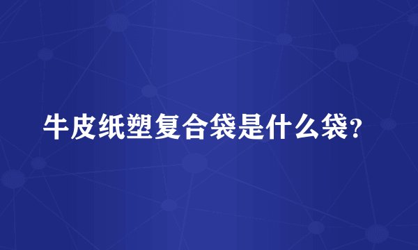 牛皮纸塑复合袋是什么袋？