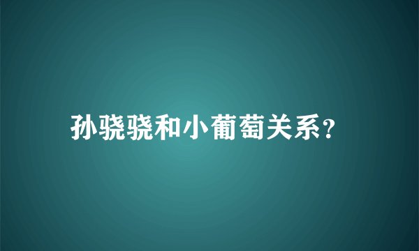 孙骁骁和小葡萄关系？