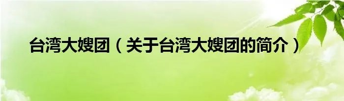台湾大嫂团（关于台湾大嫂团的简介）