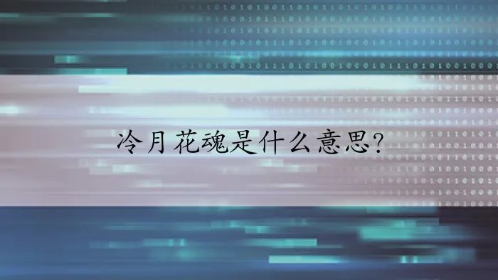 冷月花魂是什么意思？
