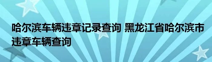 哈尔滨车辆违章记录查询 黑龙江省哈尔滨市违章车辆查询