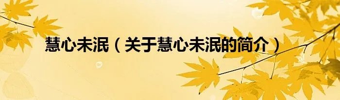 慧心未泯（关于慧心未泯的简介）