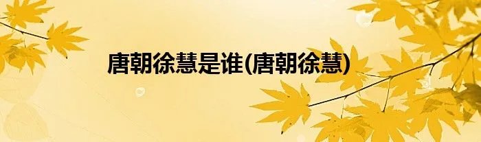 唐朝徐慧是谁(唐朝徐慧)