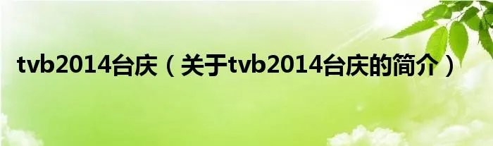 tvb2014台庆(关于tvb2014台庆的简介)