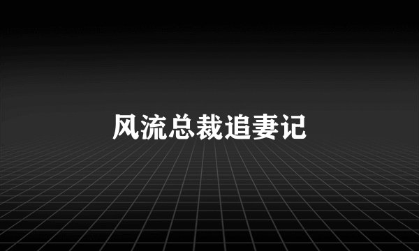 风流总裁追妻记