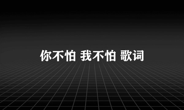 你不怕 我不怕 歌词