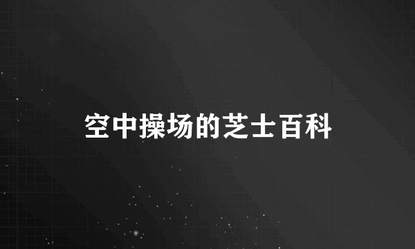 空中操场的芝士百科