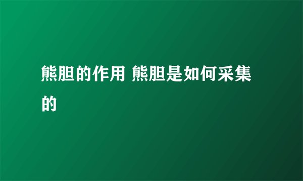 熊胆的作用 熊胆是如何采集的
