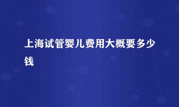 上海试管婴儿费用大概要多少钱