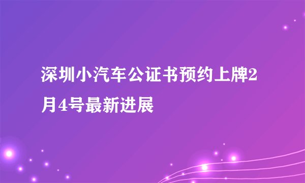 深圳小汽车公证书预约上牌2月4号最新进展