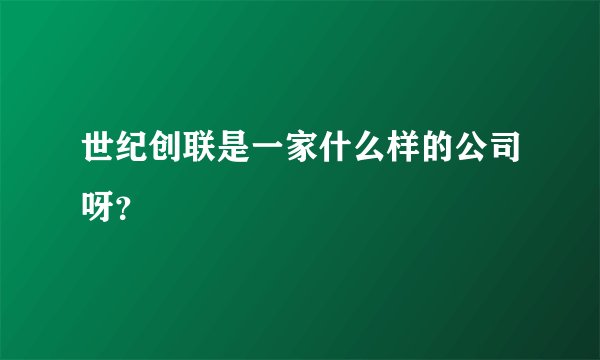 世纪创联是一家什么样的公司呀？