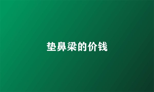 垫鼻梁的价钱
