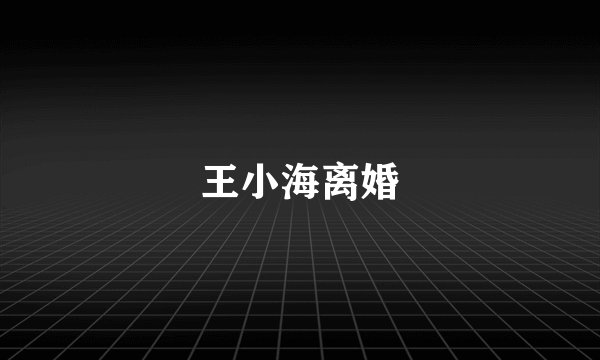 王小海离婚