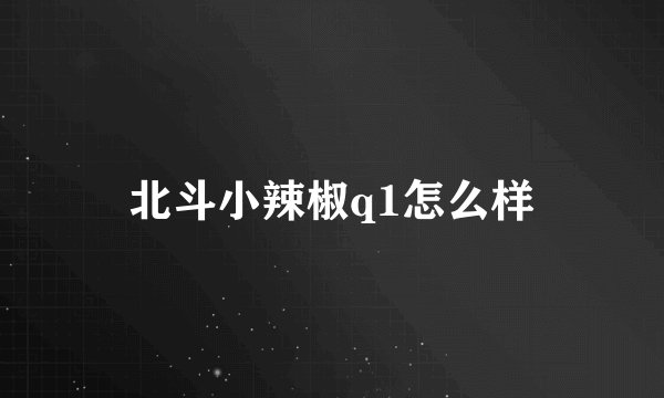 北斗小辣椒q1怎么样