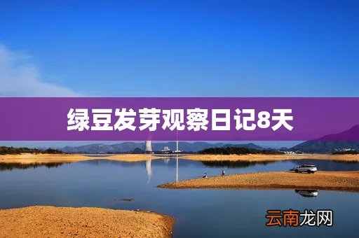 绿豆发芽观察日记8天
