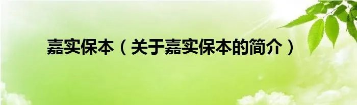 嘉实保本(关于嘉实保本的简介)
