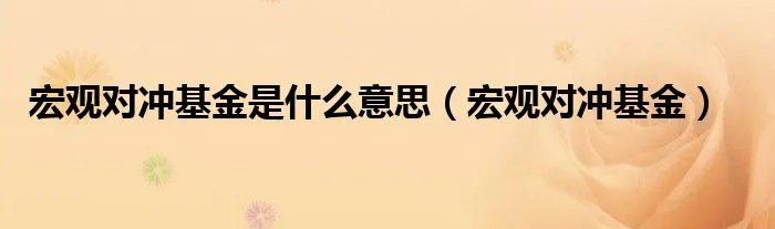 宏观对冲基金是什么意思（宏观对冲基金）