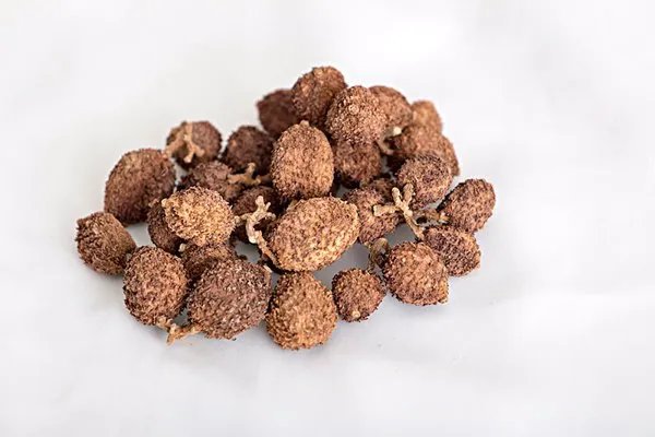 春砂仁蜜苦吗