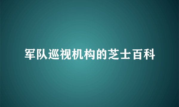 军队巡视机构的芝士百科