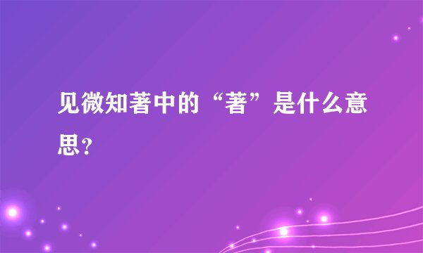 见微知著中的“著”是什么意思？
