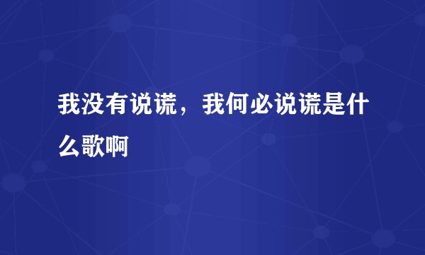 我没有说谎，我何必说谎是什么歌啊