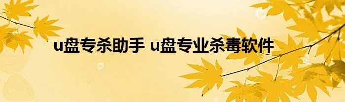 u盘专杀助手 u盘专业杀毒软件