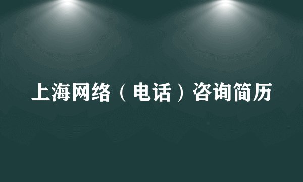 上海网络（电话）咨询简历