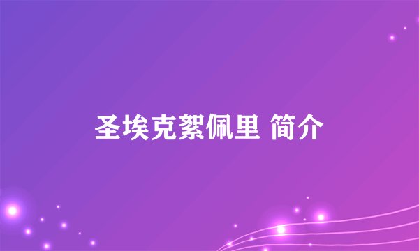 圣埃克絮佩里 简介