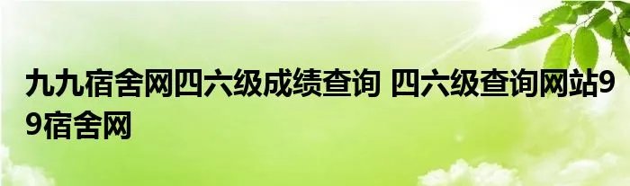 九九宿舍网四六级成绩查询 四六级查询网站99宿舍网