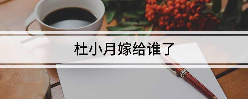 杜小月嫁给谁了