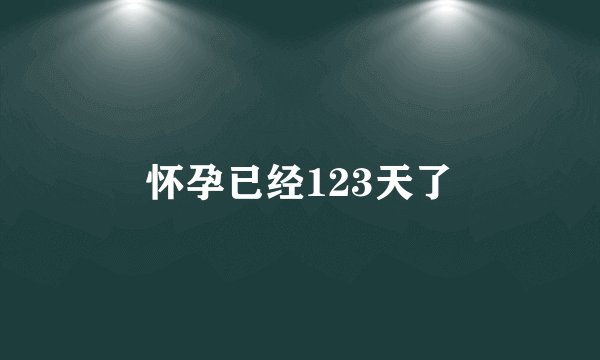 怀孕已经123天了