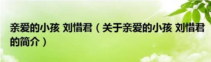亲爱的小孩 刘惜君（关于亲爱的小孩 刘惜君的简介）