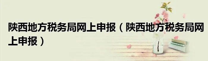 陕西地方税务局网上申报(陕西地方税务局网上申报)
