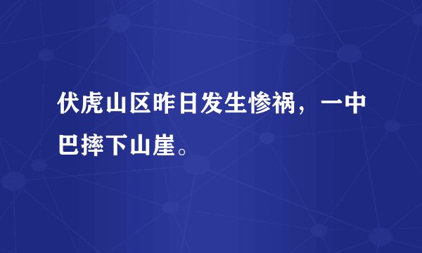 伏虎山区昨日发生惨祸，一中巴摔下山崖。