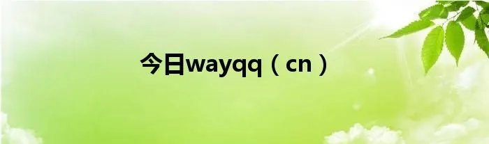 今日wayqq（cn）