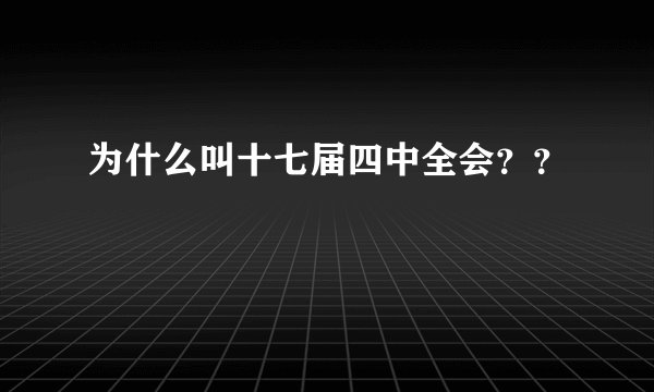 为什么叫十七届四中全会？？