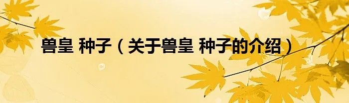 兽皇 种子（关于兽皇 种子的介绍）