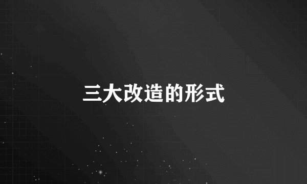 三大改造的形式