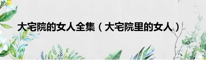 大宅院的女人全集(大宅院里的女人)