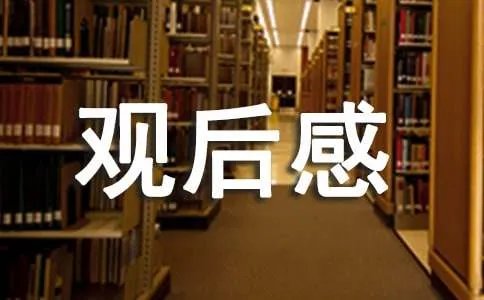 寻找最美孝心观后感