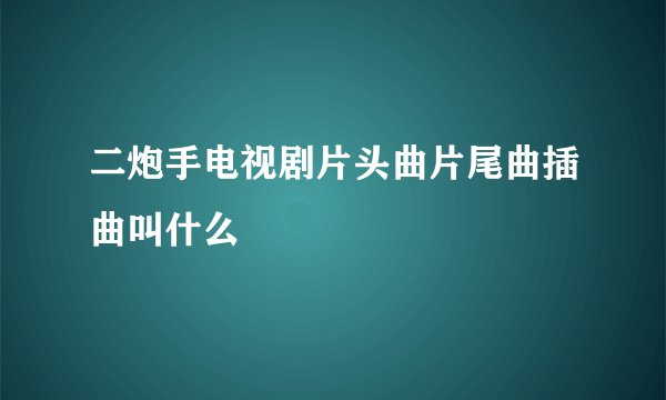 二炮手电视剧片头曲片尾曲插曲叫什么