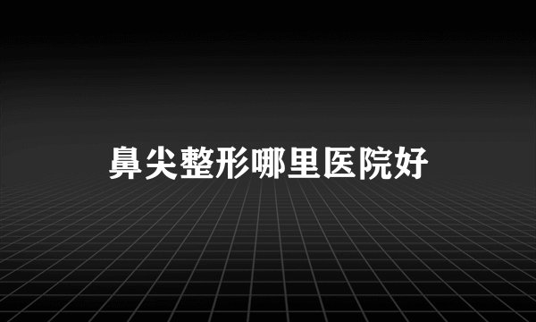 鼻尖整形哪里医院好