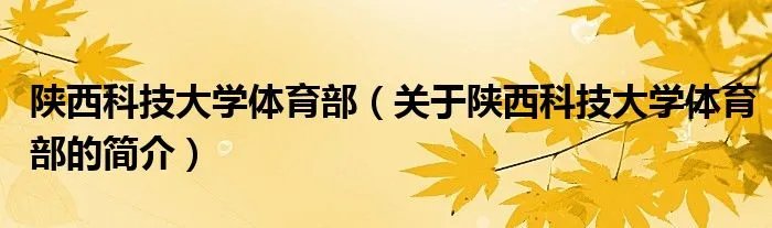 陕西科技大学体育部（关于陕西科技大学体育部的简介）
