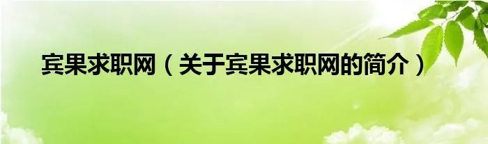 宾果求职网（关于宾果求职网的简介）