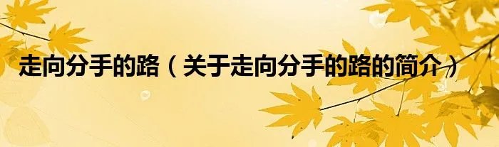 走向分手的路（关于走向分手的路的简介）