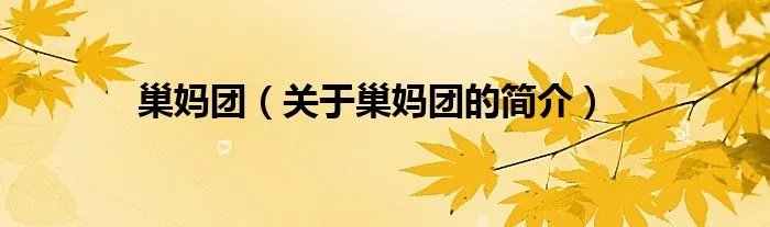 巢妈团（关于巢妈团的简介）