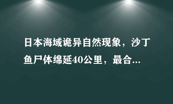 日本海域诡异自然现象,沙丁鱼尸体绵延40公里,最合理的科学解释