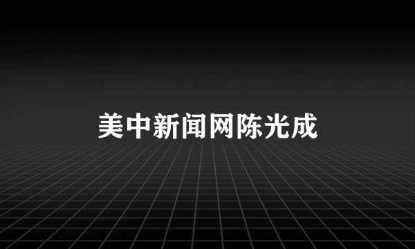 美中新闻网陈光成