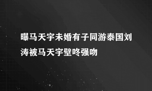 曝马天宇未婚有子同游泰国刘涛被马天宇壁咚强吻