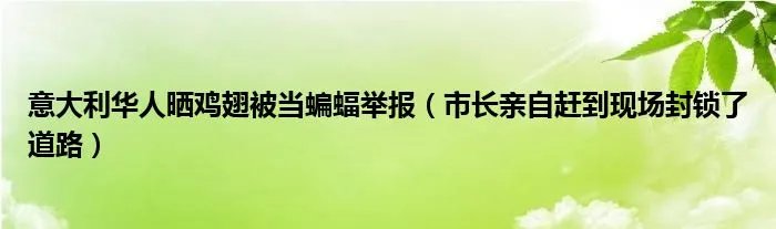 意大利华人晒鸡翅被当蝙蝠举报（市长亲自赶到现场封锁了道路）